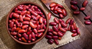 آشنایی با فواید و ارزش غذایی لوبیا قرمز