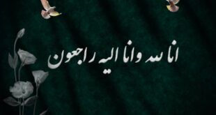 پیام تسلیت سازمان نظام پرستاری به مناسبت درگذشت شهادت گونه دو پرستار در حادثه آمبولانس
